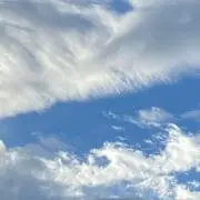 れっれの画像