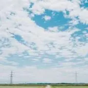 すーの画像