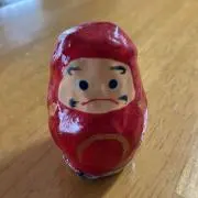 サイプレスの画像