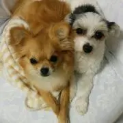 ココとモグ