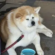 えば
