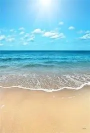 ぴよの画像