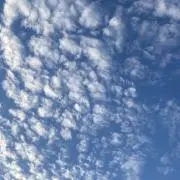 Tamiの画像