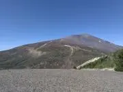 アモールの画像