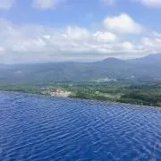 ソラの画像