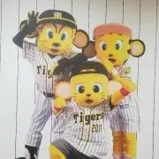 ライム⭐の画像