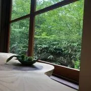 サリーの画像