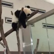 くず