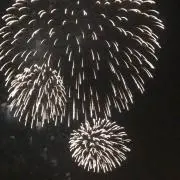 ミッチーの画像
