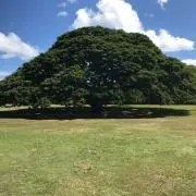 SARY⭐︎プロフ見てね⭐︎の画像