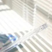 ねこ【プロフ必読】の画像