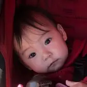 ココたん