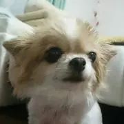 ともすけ