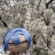 うららの画像