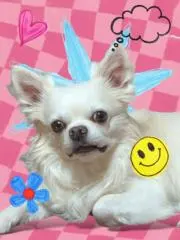 くーたん  ※プロフ読んでください！の画像