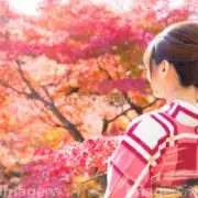 くるり