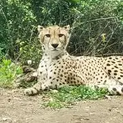(^^)/の画像