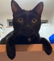 ひろ