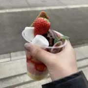 さえの画像