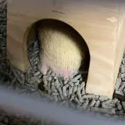 りょう