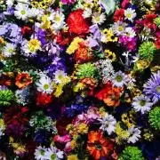 未開封】想い出波止場 7枚組 ボックス HQCD 山本精一 ボアダムス