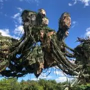 だいの画像