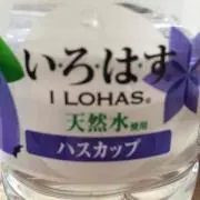 ポメラニアン