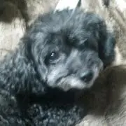 のんちゃん