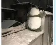 ガリタ※プロフご覧くださいの画像