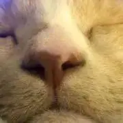Sunaoの画像