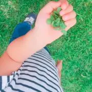 みつ⭐︎