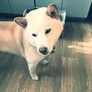 てぃん