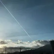 ミーコの画像
