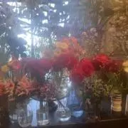 まめの画像
