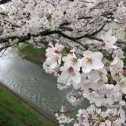 りぃ