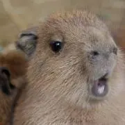 みのり