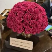 おまとめ歓迎！断捨離してます。の画像