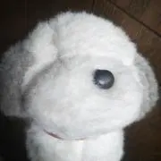 うめ吉☆の画像