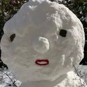 リッツの画像
