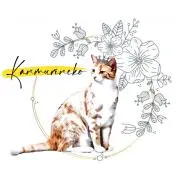 kanmurineko(冠猫）の画像