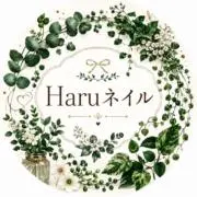 L Size☆Haru ネイルチップの画像