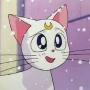 あるてみすの画像