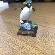 penguiの画像