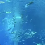 ⭐︎なの画像