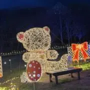 Image of ちょこ丸