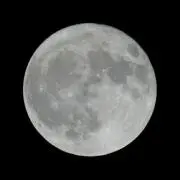 LUN