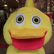右曲チョメチョメの画像