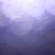 ぶり
