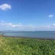 サトルの画像