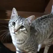ちー兄